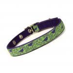 lime and purple modern bird..