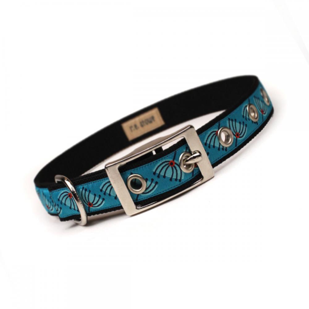 turquoise mod pod metal buckle dog collar (3/4 inch)
