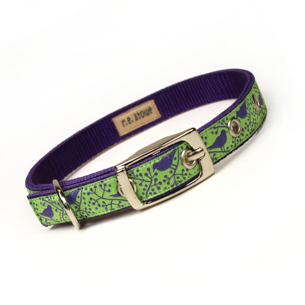 lime and purple modern birds metal buckle dog or cat collar (1/2 inch)